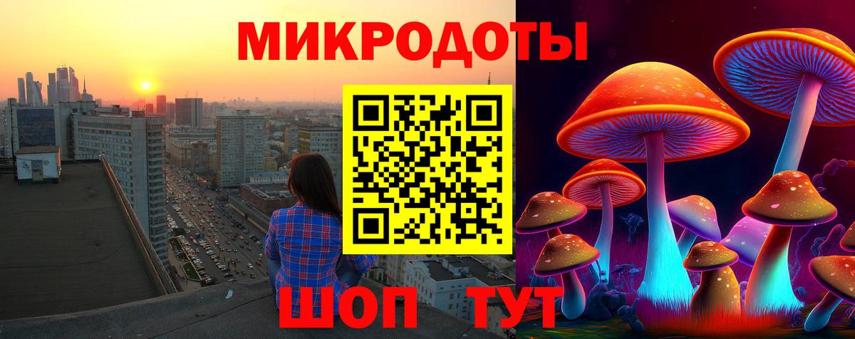 Галлюциногенные грибы Psilocybe Тверь
